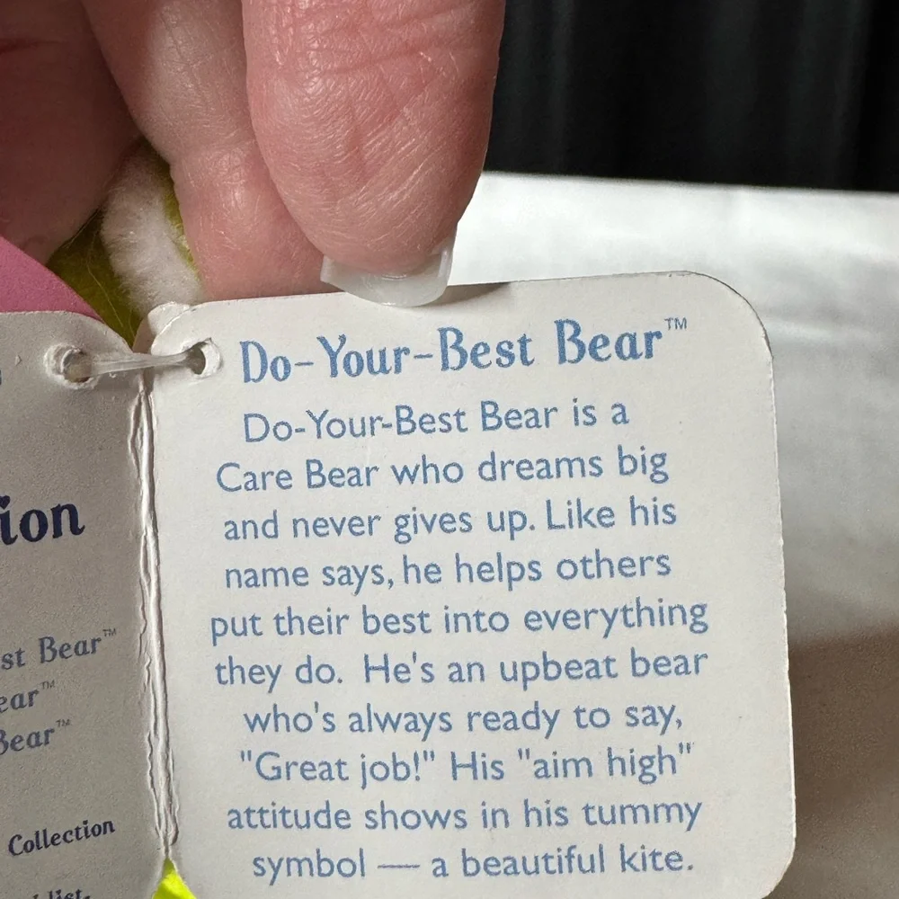 Care Bears Do Your Best Bear  NWT Collector’s Edition Series 1 Green Kite Toy
